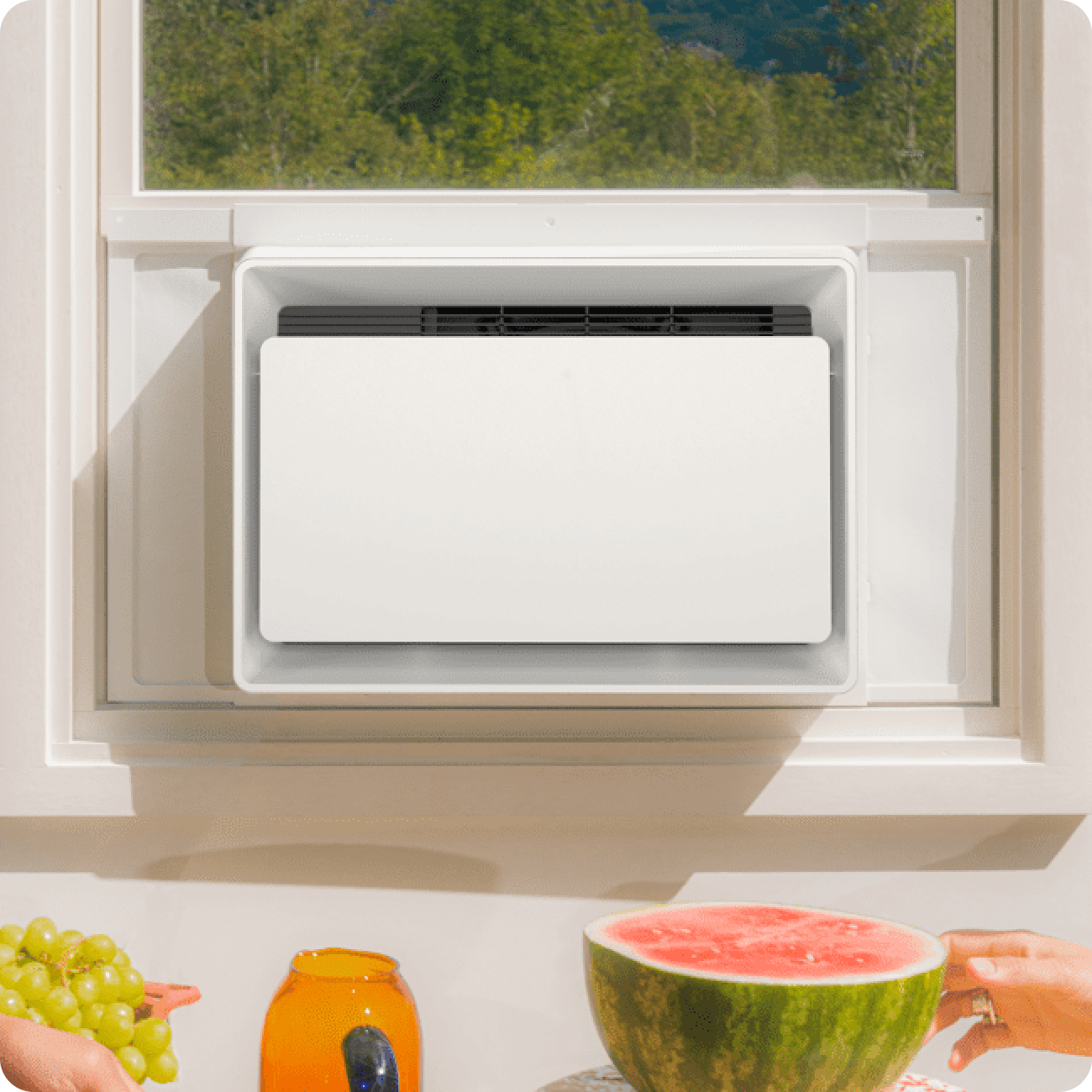 Your window’s coolest friend